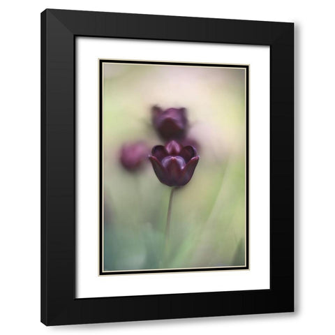 Projectorlens Photo Black Modern Wood Framed Art Print with Double Matting by van marwijk, tonnie