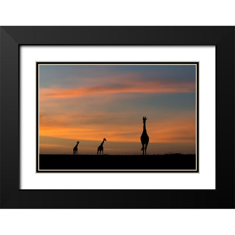 ddidcdsd ddldcdndids dydcdcd d ddcddbdudsd Black Modern Wood Framed Art Print with Double Matting by Sobhi, Ahmed