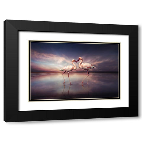 FlamingoLove Black Modern Wood Framed Art Print with Double Matting by Egger, Marcel