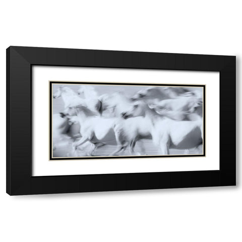Herd of White Arabian Mares Black Modern Wood Framed Art Print with Double Matting by Leinemann, Ulrike