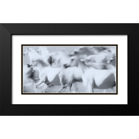 Herd of White Arabian Mares Black Modern Wood Framed Art Print with Double Matting by Leinemann, Ulrike