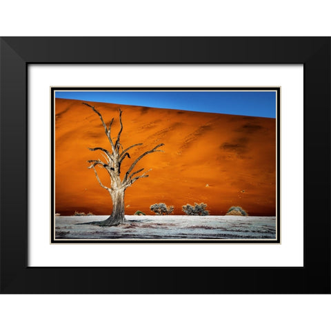 Namibia Black Modern Wood Framed Art Print with Double Matting by Gumerov, Taymuraz