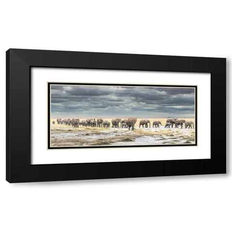 The March for Survival Black Modern Wood Framed Art Print with Double Matting by C. Sink, Jeffrey