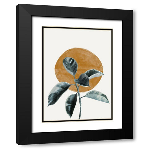 Sun and Ficus Black Modern Wood Framed Art Print with Double Matting by The Miuus Studio
