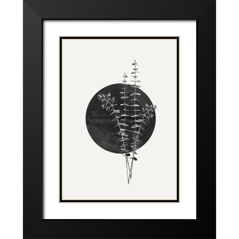 Plant and Black Sun Black Modern Wood Framed Art Print with Double Matting by The Miuus Studio