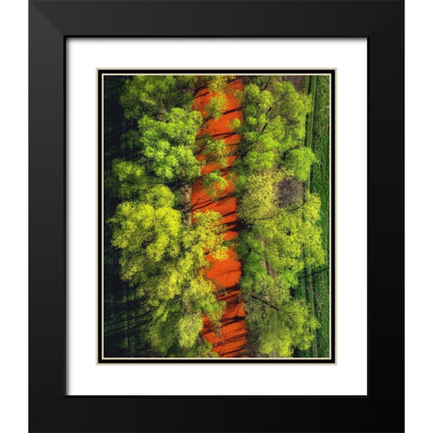 ...Perverted Beauty ... Black Modern Wood Framed Art Print with Double Matting by Gerec, Pali