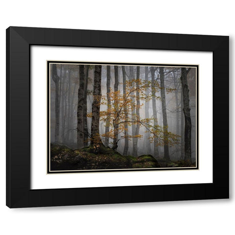 Bosque en la niebla Black Modern Wood Framed Art Print with Double Matting by Ruiz Rivas, Ja