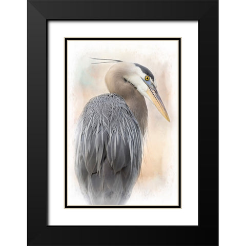 Great Blue Heron Portrait Black Modern Wood Framed Art Print with Double Matting by D Lester, Linda