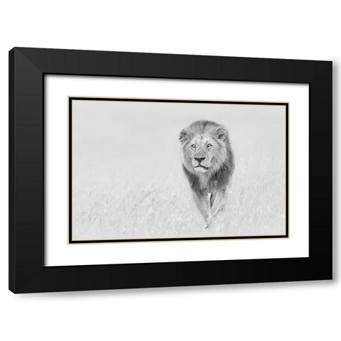 The King of The Prairie Black Modern Wood Framed Art Print with Double Matting by Zuo, Jun