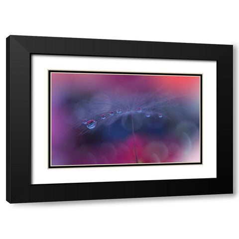 The Tears Of Heaven...III Black Modern Wood Framed Art Print with Double Matting by Nan, Juliana