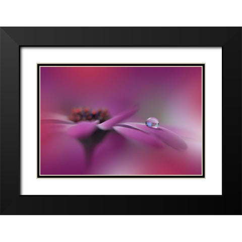 Celebration Of Life.. Black Modern Wood Framed Art Print with Double Matting by Nan, Juliana
