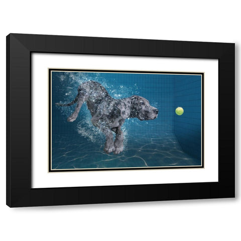 Splashdog Black Modern Wood Framed Art Print with Double Matting by Egger, Marcel