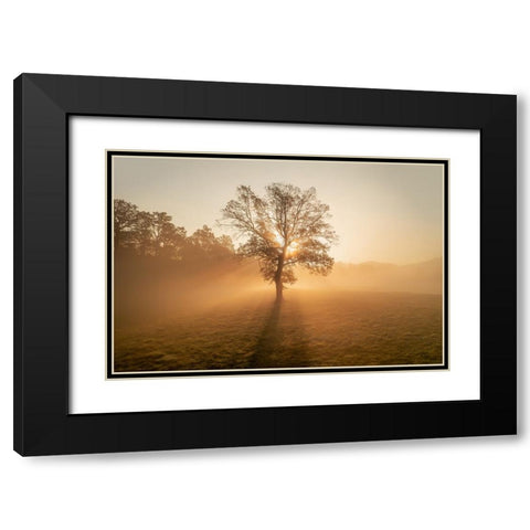Lonely tree Black Modern Wood Framed Art Print with Double Matting by Krivec, Ales
