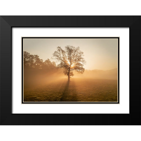 Lonely tree Black Modern Wood Framed Art Print with Double Matting by Krivec, Ales