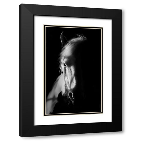 Catching Light Black Modern Wood Framed Art Print with Double Matting by Wilson, Francis