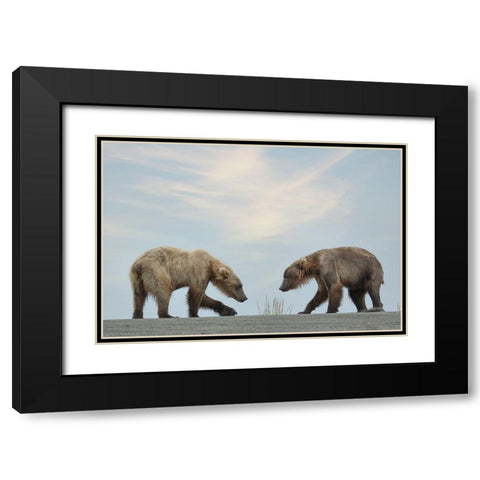 On Their Own Black Modern Wood Framed Art Print with Double Matting by D Lester, Linda
