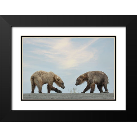 On Their Own Black Modern Wood Framed Art Print with Double Matting by D Lester, Linda