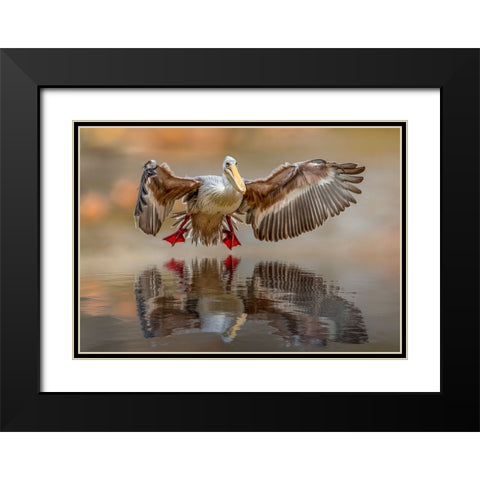 Touching the water Black Modern Wood Framed Art Print with Double Matting by Zvelebil PhD, Marketa