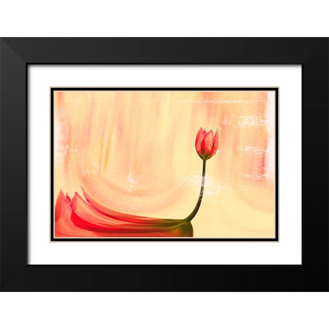 dancer Black Modern Wood Framed Art Print with Double Matting by Ignatova, Desislava