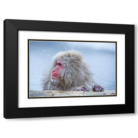 A Regular Day Black Modern Wood Framed Art Print with Double Matting by Aktas, Ozan
