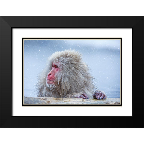 A Regular Day Black Modern Wood Framed Art Print with Double Matting by Aktas, Ozan