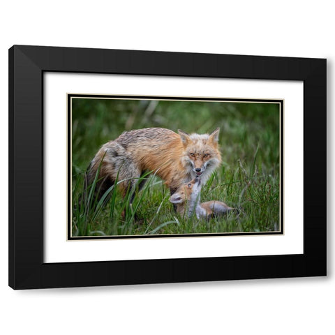 Love Black Modern Wood Framed Art Print with Double Matting by Cheng, Jie