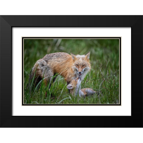 Love Black Modern Wood Framed Art Print with Double Matting by Cheng, Jie