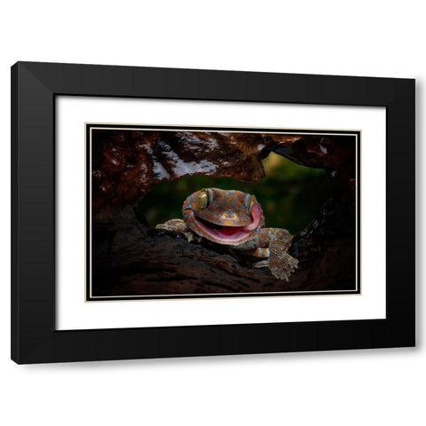 Smiley Black Modern Wood Framed Art Print with Double Matting by Suharini, Mieke
