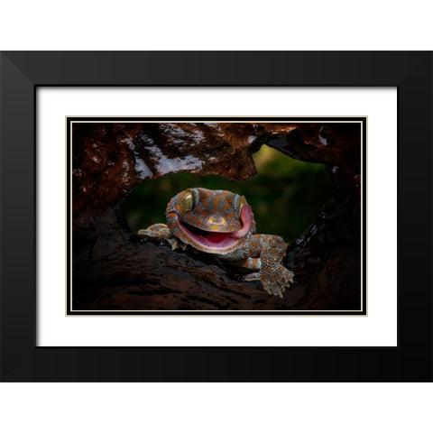 Smiley Black Modern Wood Framed Art Print with Double Matting by Suharini, Mieke