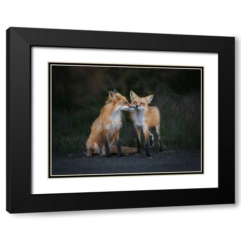 Only You In My Eyes Black Modern Wood Framed Art Print with Double Matting by Zhang, Ling