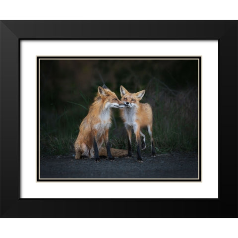 Only You In My Eyes Black Modern Wood Framed Art Print with Double Matting by Zhang, Ling