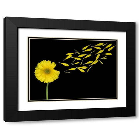 Blowing In The Wind Black Modern Wood Framed Art Print with Double Matting by Wolbers, Louise