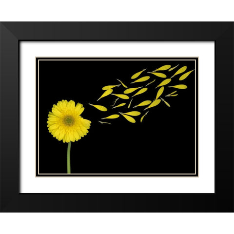 Blowing In The Wind Black Modern Wood Framed Art Print with Double Matting by Wolbers, Louise
