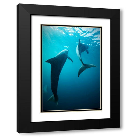 Shapes Of Water Black Modern Wood Framed Art Print with Double Matting by Melesan, Serge