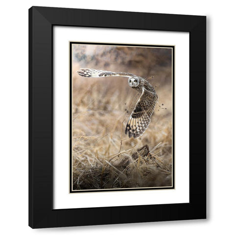 fly into the sky Black Modern Wood Framed Art Print with Double Matting by Matsubara, Hiroki