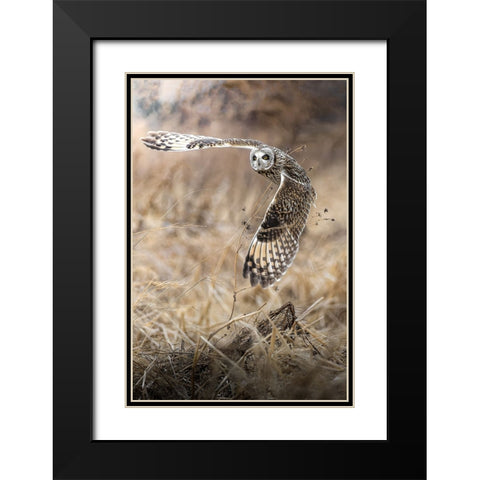 fly into the sky Black Modern Wood Framed Art Print with Double Matting by Matsubara, Hiroki