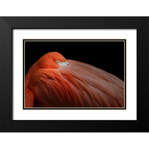 Untitled Black Modern Wood Framed Art Print with Double Matting by Pandya, Hardik