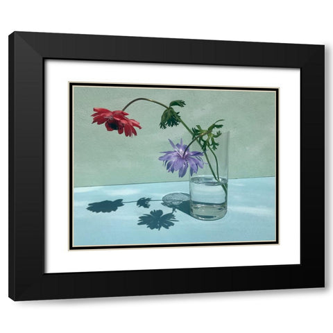 Light a Shadow Black Modern Wood Framed Art Print with Double Matting by Basso, Donatella