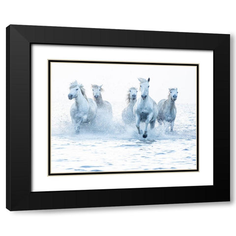 Horses on the Run Black Modern Wood Framed Art Print with Double Matting by Zvelebil Phd, Marketa