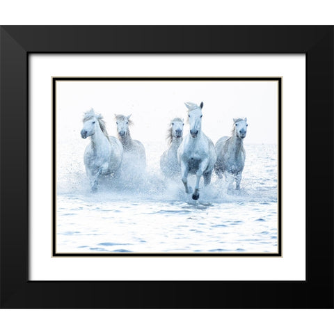 Horses on the Run Black Modern Wood Framed Art Print with Double Matting by Zvelebil Phd, Marketa