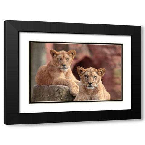 SISTERS Black Modern Wood Framed Art Print with Double Matting by Wenner-Braun, Antje