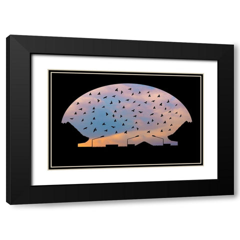Homeward Bound Black Modern Wood Framed Art Print with Double Matting by Nayyer Reza, Sayyed