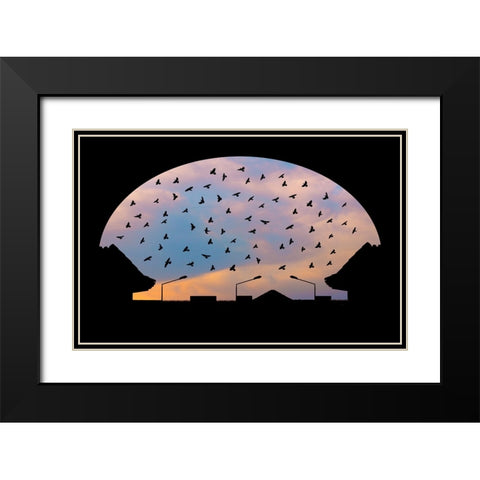 Homeward Bound Black Modern Wood Framed Art Print with Double Matting by Nayyer Reza, Sayyed