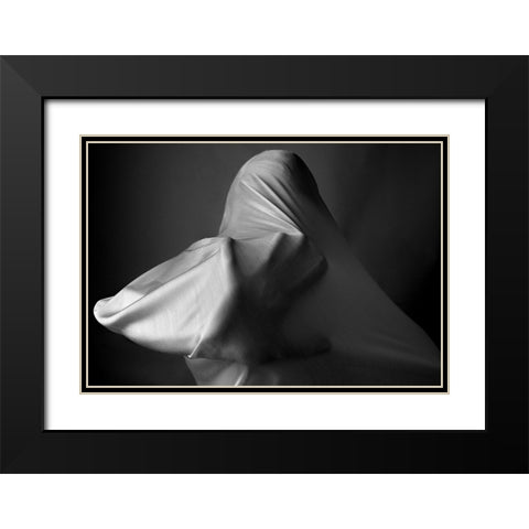 Fanatic Black Modern Wood Framed Art Print with Double Matting by Arabzadeh, Abbas