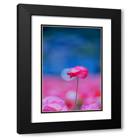 Untitled Black Modern Wood Framed Art Print with Double Matting by Nakada, Chisho