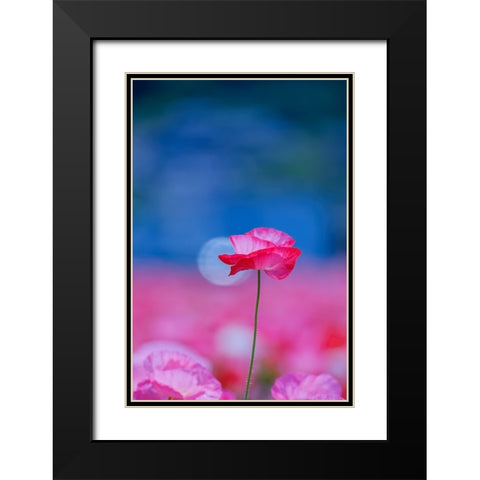 Untitled Black Modern Wood Framed Art Print with Double Matting by Nakada, Chisho