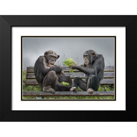 Monkey Salad Black Modern Wood Framed Art Print with Double Matting by Egger, Marcel