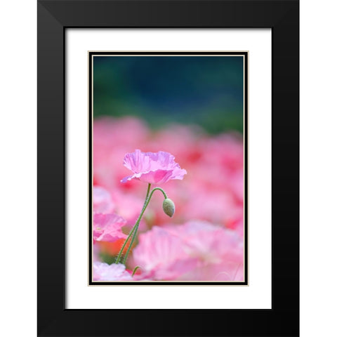 Untitled Black Modern Wood Framed Art Print with Double Matting by Nakada, Chisho