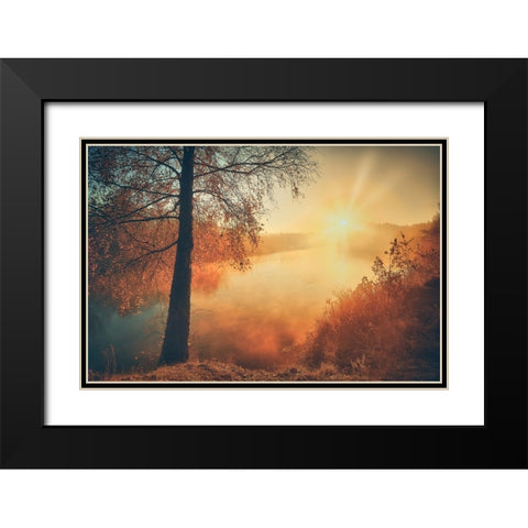 Gold of the fall Black Modern Wood Framed Art Print with Double Matting by Kado, Pawel