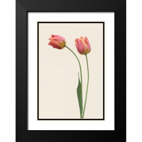 Duo Black Modern Wood Framed Art Print with Double Matting by Gronkjar, Lotte